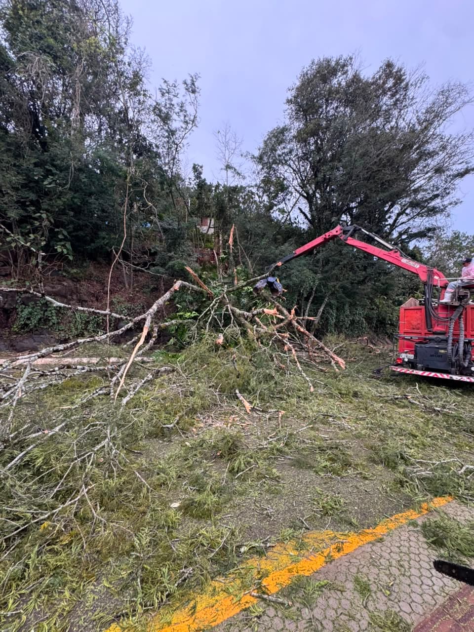 Árvore cai sobre a SC-283 e mobiliza Bombeiros na saída de Seara para Concórdia - Aliança News