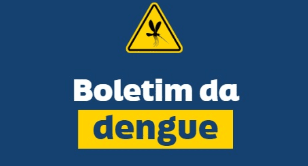 Blumenau Zera Novos Casos de Dengue em Meados de Junho; Total Permanece em Nove