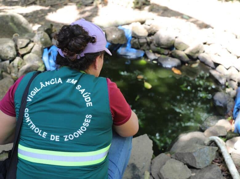 Jaraguá do Sul registra 30 casos confirmados de dengue e mais de 1,2 mil focos do mosquito - Diário da Jaraguá