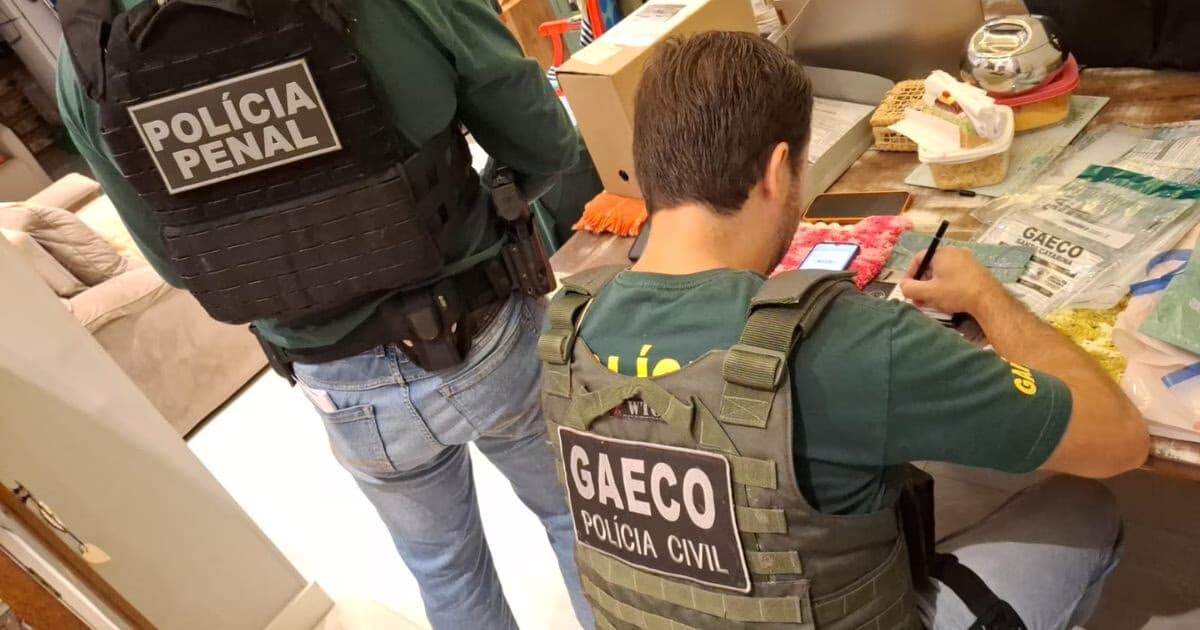 Operação Cashback investiga irregularidades na gestão de hospital em Gaspar - O Município