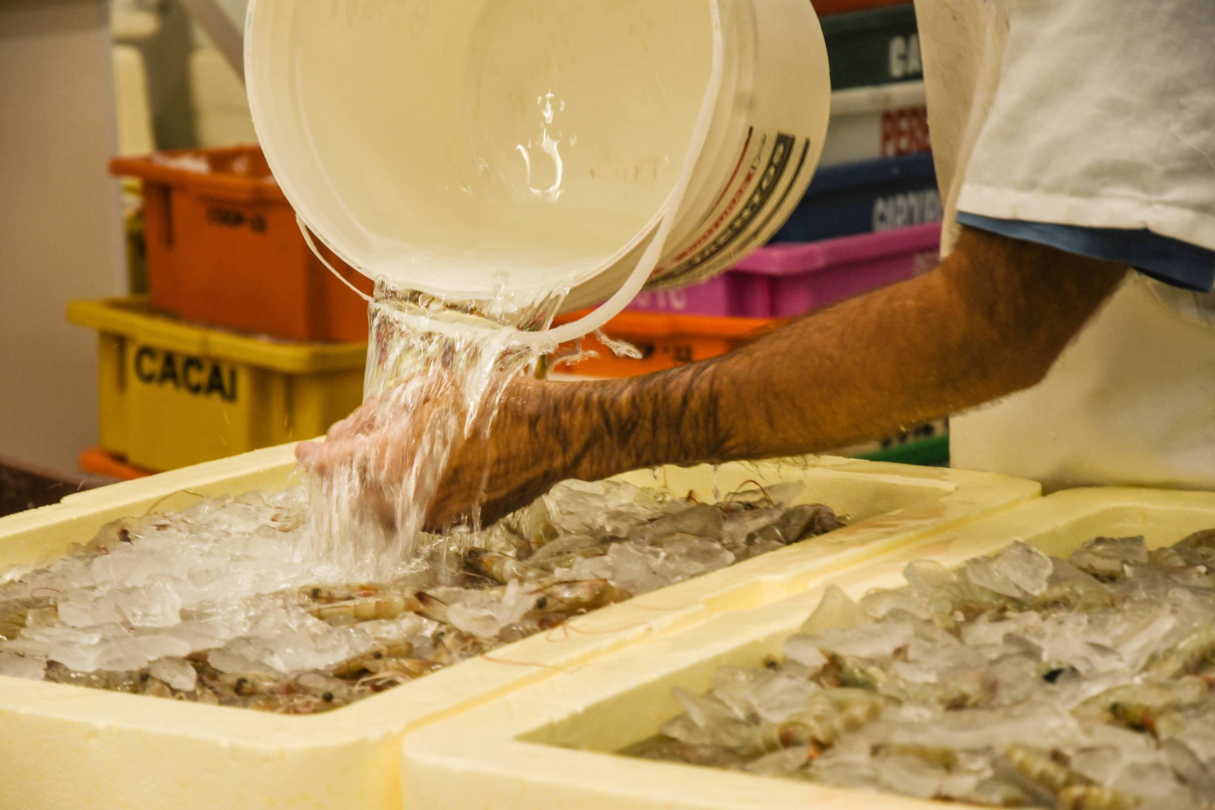 União Europeia vem ao Brasil auditar pescados e avaliar importação paralisada há 9 anos