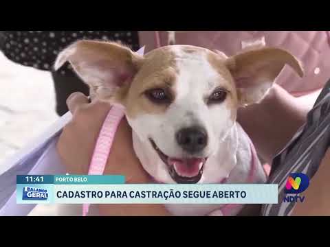 Festa do Peixe, Piçarraiá e saúde movimentam a região Norte SC