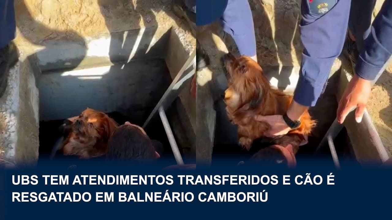 Atendimentos de UBS são transferidos e cão é resgatado em BC