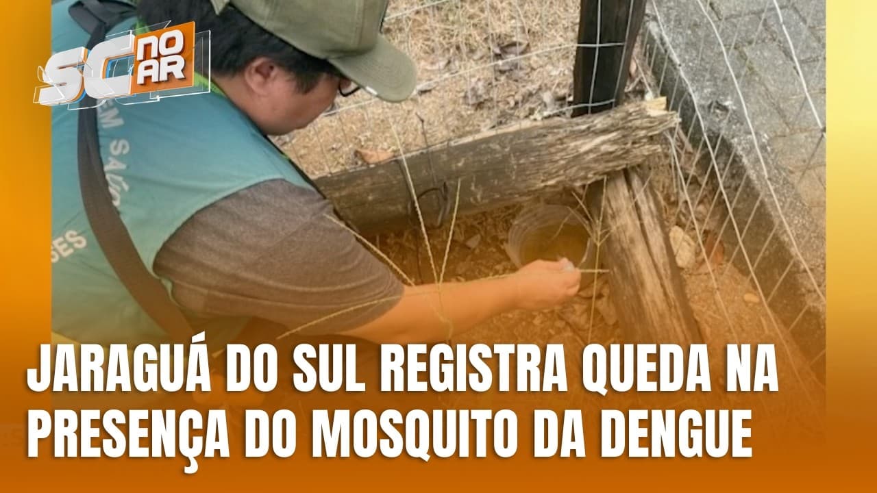 Jaraguá do Sul registra queda no índice do mosquito da dengue