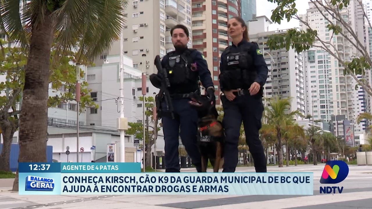 Conheça Kirsch, cão K9 que reforça a segurança em Balneário Camboriú