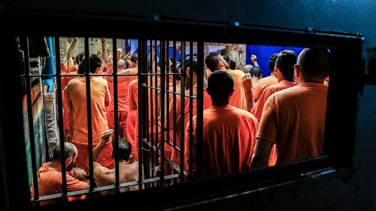 Trabalho inédito em SC vai ouvir feminicidas: “O que estamos fazendo até agora não está resolvendo”