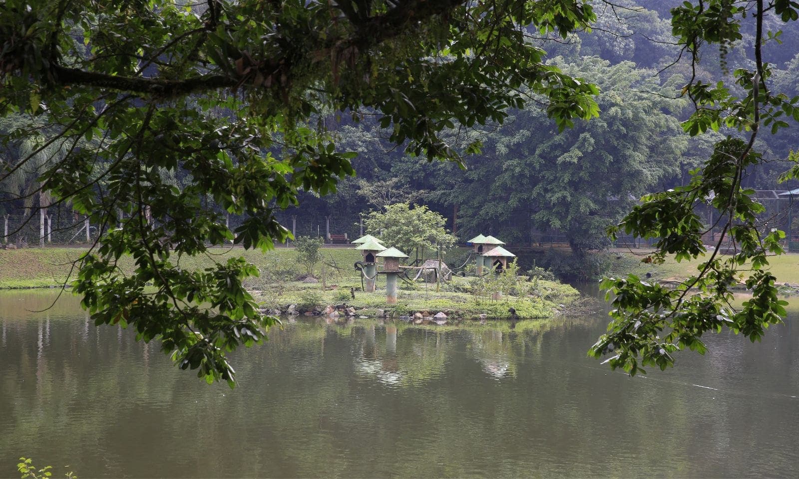 Semana da Água promove palestras, trilhas na mata, oficinas e outras atividades de educação ambiental em Joinville