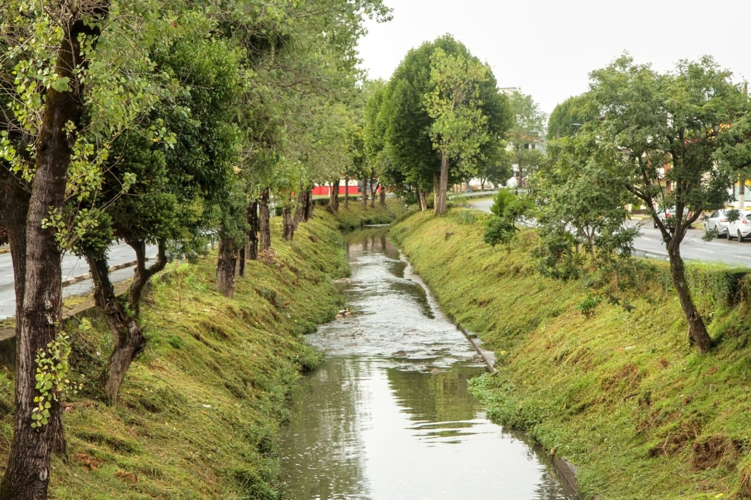 Navalhadas do Barão: por uma Lages mais verde na Avenida Carahá - Milton Barão