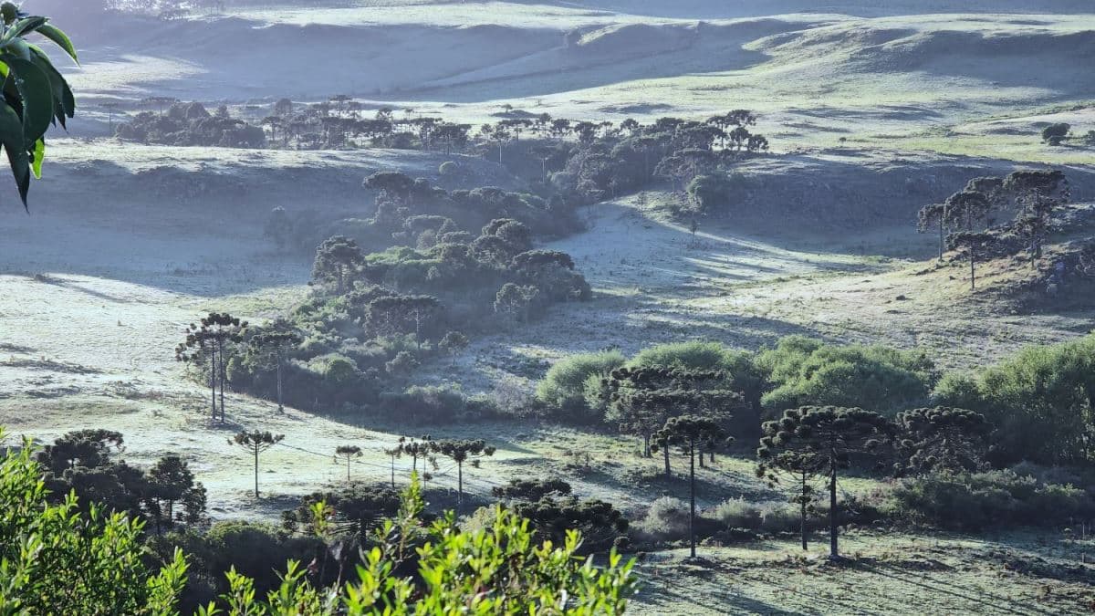 El Niño deve trazer inverno menos gelado este ano em Santa Catarina