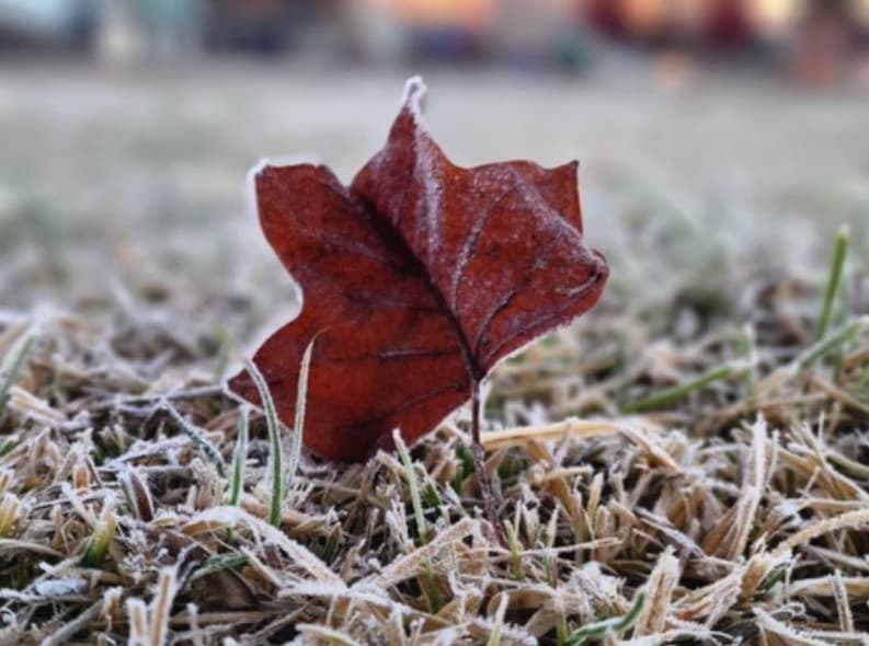 Dia mais frio do ano em Santa Catarina tem mais de 20 cidades abaixo de 0°C