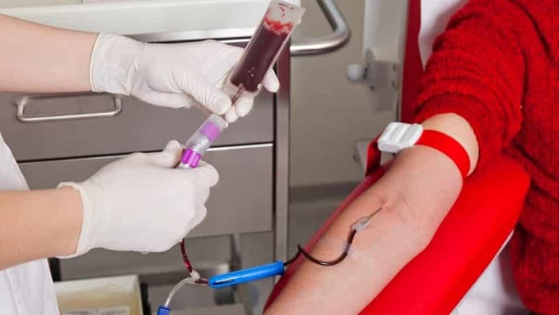 Sangue Total chega a Criciúma e amplia atendimento a pacientes graves no Sul catarinense - Rádio Araranguá FM 95.5