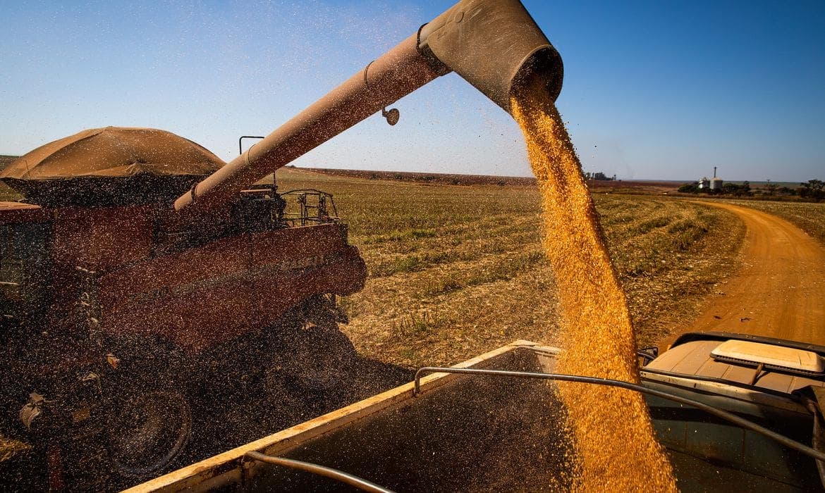 Setor agropecuário lidera PIB nacional com alta histórica de 11,7%