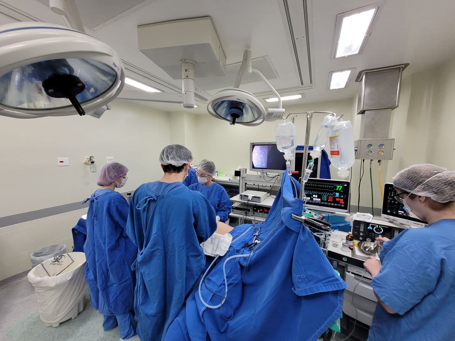 Hospital Governador Celso Ramos amplia atendimentos e melhora indicadores assistenciais em 2024 - Portal SES/SC