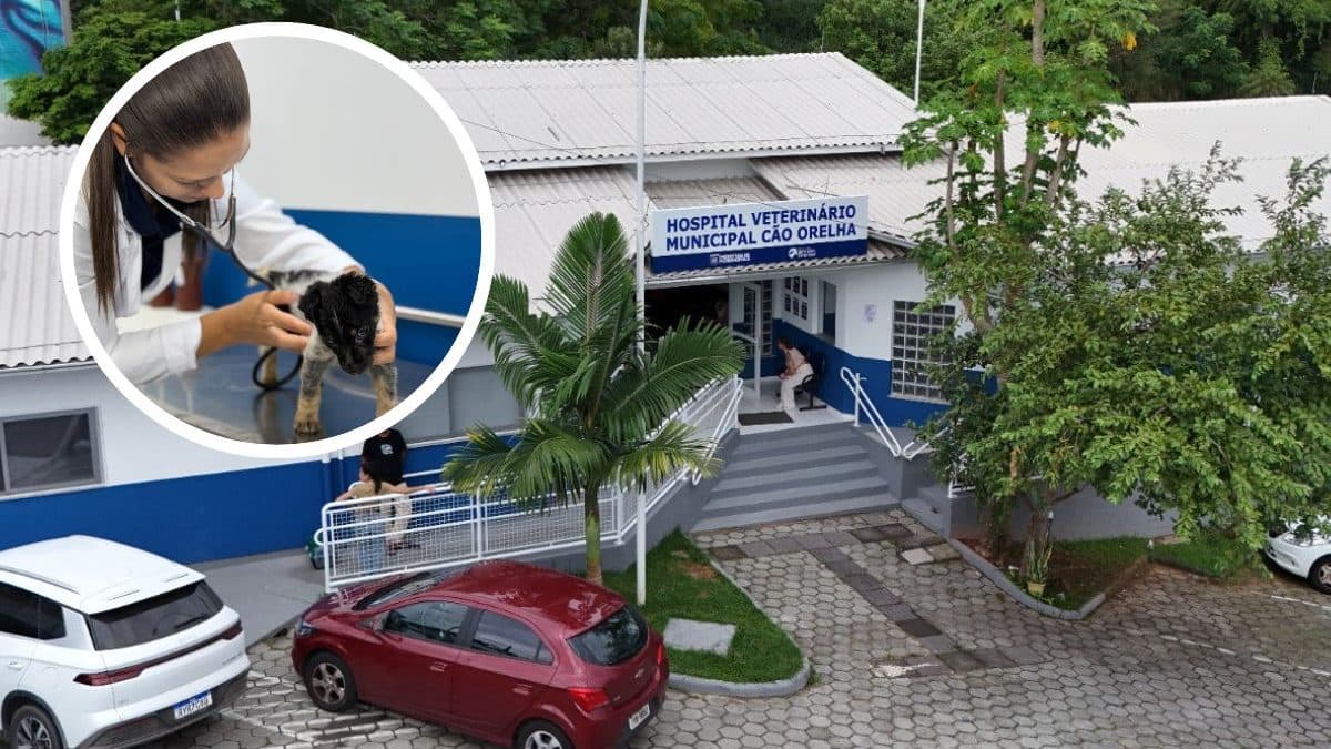 Com plano de saúde vitalício, primeiro hospital veterinário de SC será inaugurado; saiba quando