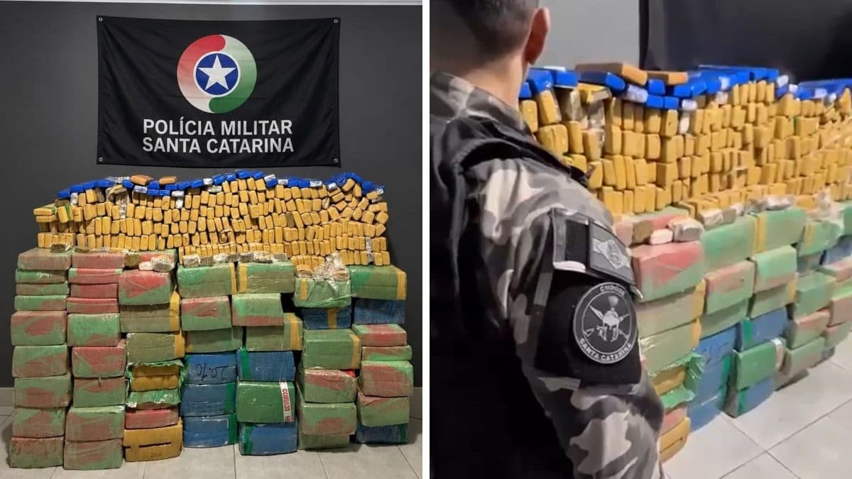 Cheiro forte faz polícia descobrir mais de uma tonelada de maconha escondida em 'depósito do tráfico' em SC