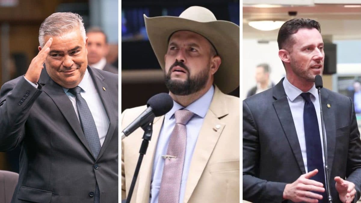Ex-militar, vereador e nomes que mantiveram cadeira: veja quem são os deputados ligados a Joinville eleitos em SC