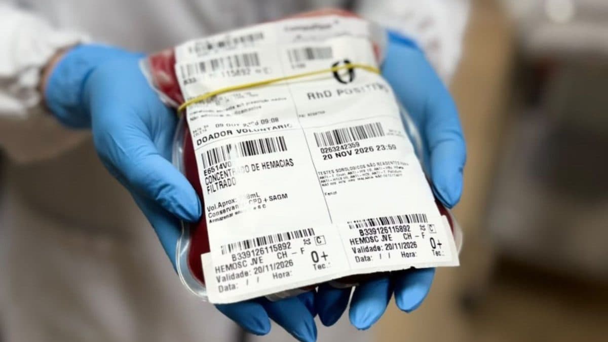 De Joinville a Minas Gerais: sangue raro de SC viaja em cabine de avião para salvar paciente