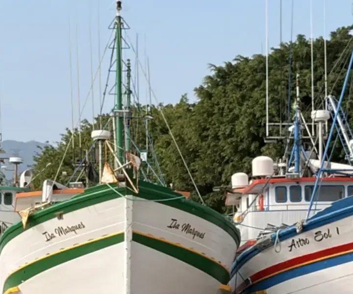 Pesca em Itajaí movimenta economia e cadeia produtiva local - Visor Notícias