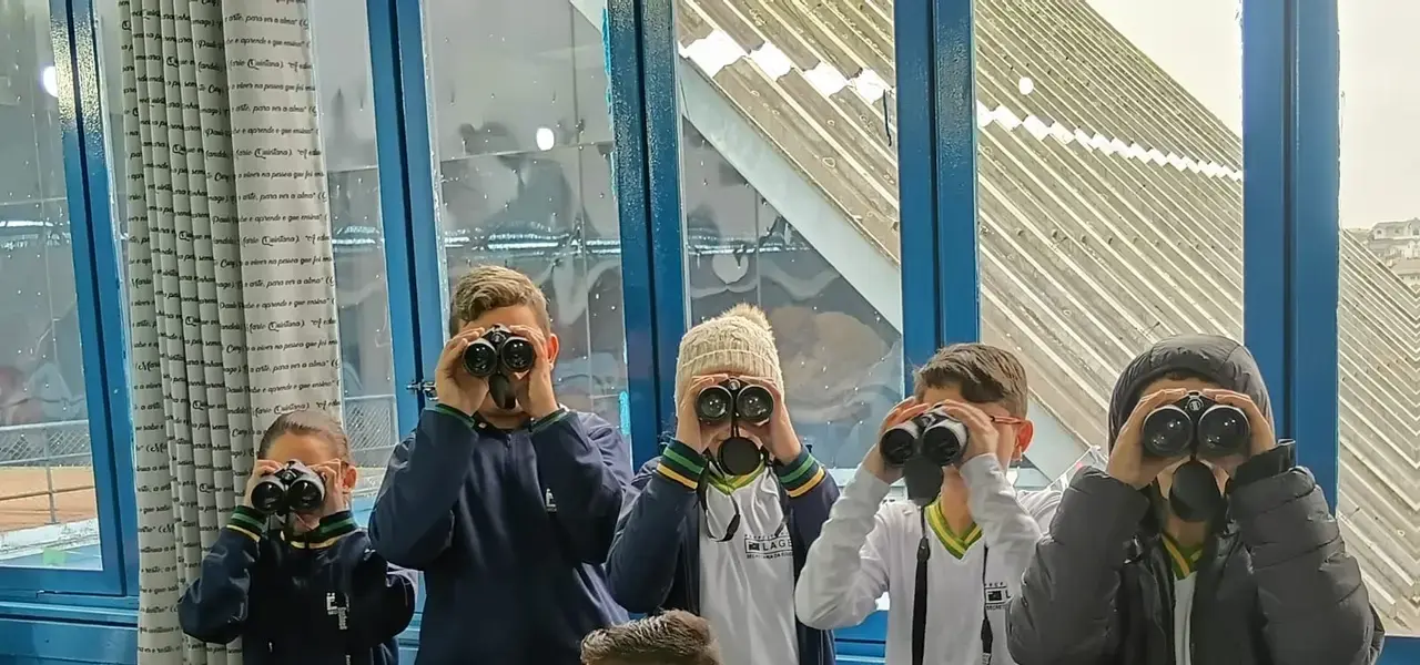 Ações de educação ambiental marcam Mês do Meio Ambiente em Lages - Visor Notícias