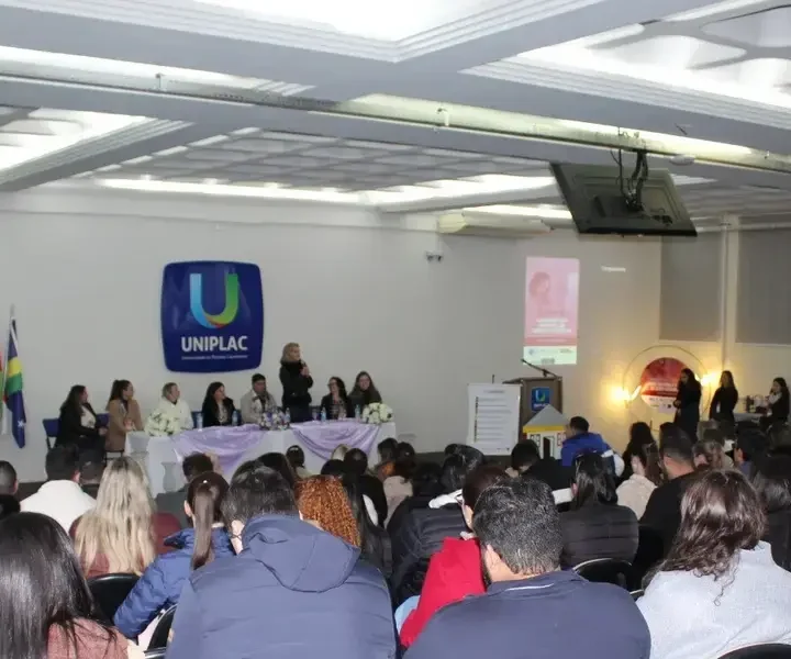 Lages sedia seminário e debate saúde materno-infantil na Serra - Visor Notícias