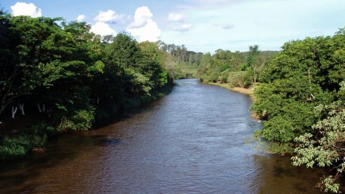 Tubarão é encontrado morto dentro do rio de São Francisco do Conde