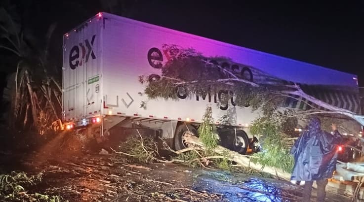 Temporal Causa Queda de Árvores e Bloqueia Rodovia SC-350; Bombeiros Restabelecem Tráfego