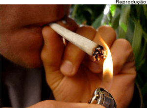 Debate Jurídico Questiona Legalidade de Multas para Usuários de Drogas em Santa Catarina