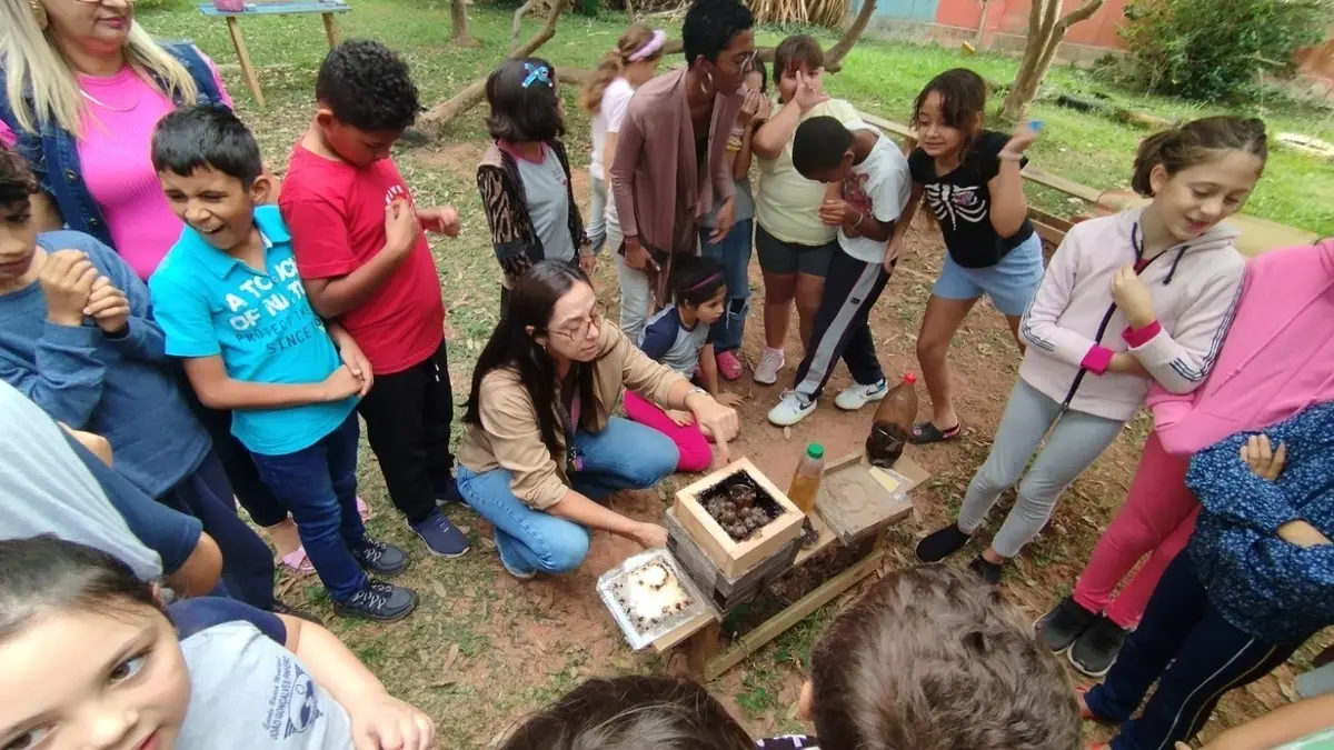 Do zumbido aos quadrinhos: abelhas nativas viram tema de aprendizagem em Florianópolis