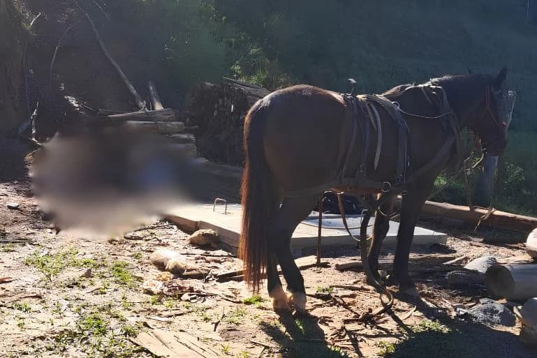 Acidente de Trabalho Fatal: Homem de 71 Anos Morre Atingido por Equipamento em Brusque