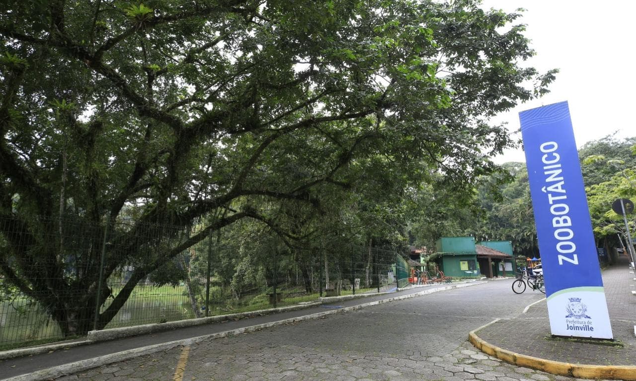 Caminhada em alusão ao Junho Verde reúne vacinação, distribuição de mudas e ações de saúde e lazer em Joinville