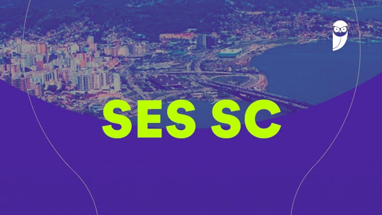 Concurso SES SC: resultado final é homologado! - Estratégia Concursos