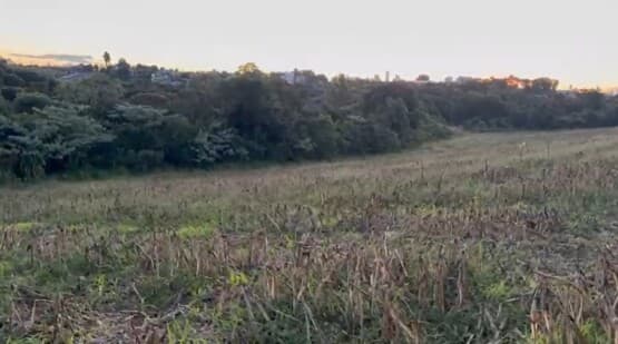 VÍDEO: Corpo é encontrado em cova e quatro suspeitos são presos em Chapecó