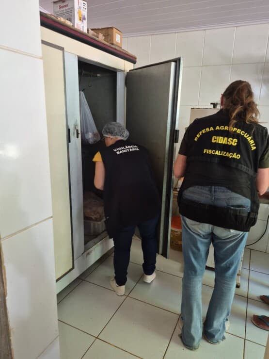 Irregularidades sanitárias levam à apreensão de produtos em comércio no interior de Chapecó