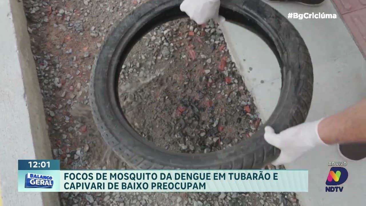 Aumento de focos de dengue preocupa em Tubarão e Capivari de Baixo
