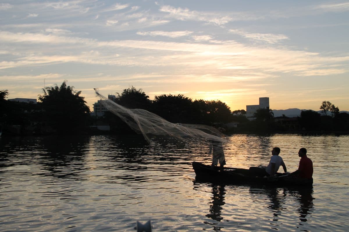 Governo de Santa Catarina destina R$ 40 milhões para Pronampe Aquicultura e Pesca com juros zero