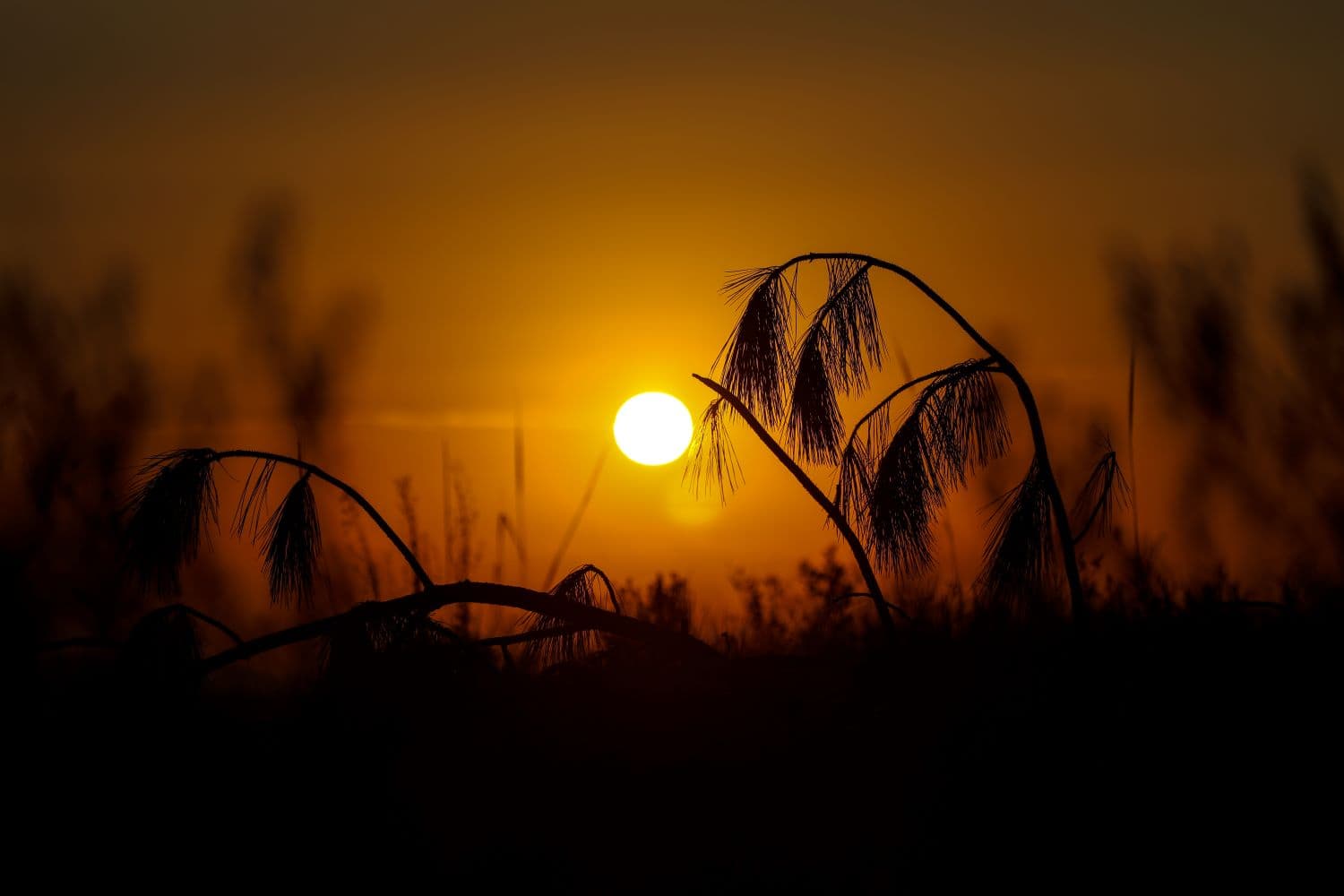 Temperaturas acima dos 30°C marcam primeiro fim de semana do outono