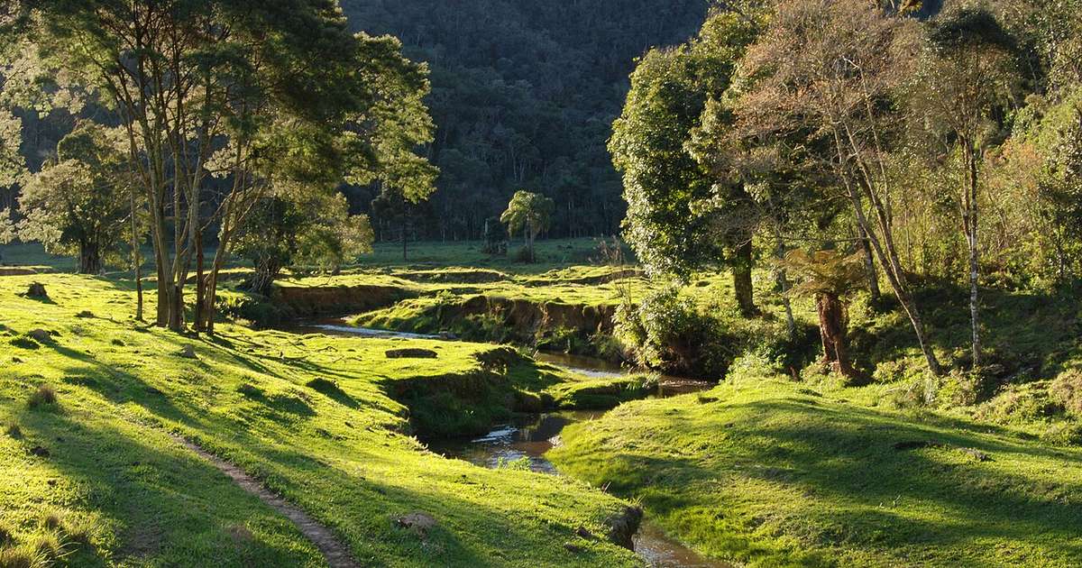 Itajaí cresce e atrai moradores: entenda o contraste entre indústria e turismo