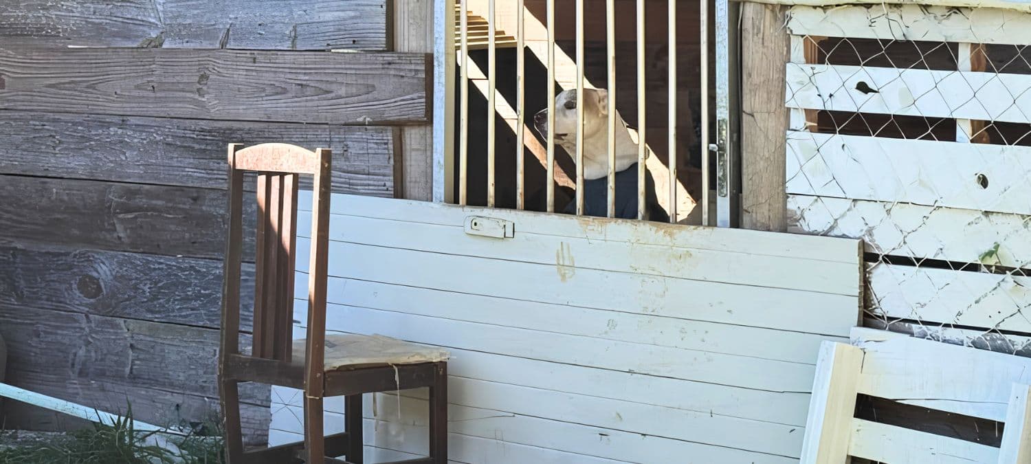 Segurança nas escolas; maus-tratos a animais; cicloturismo: o que você precisa saber nesta quarta-feira