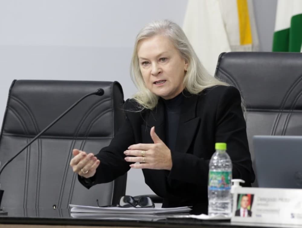 Secretária presta esclarecimentos sobre metas do Plano Municipal de Educação