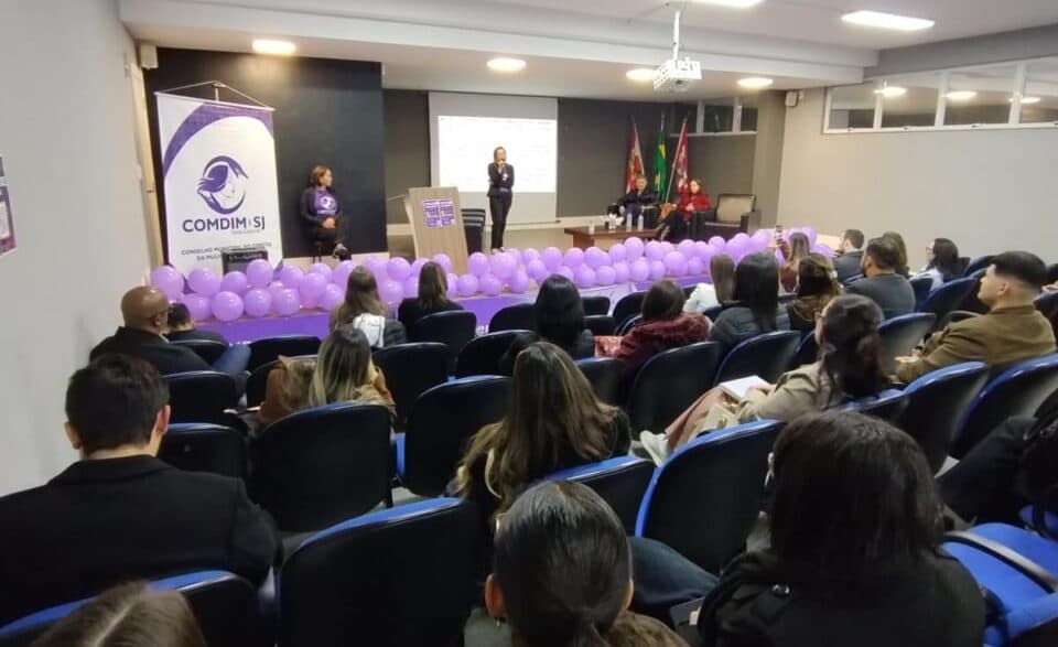 Comdim/SJ debate os 20 anos da Lei Maria da Penha