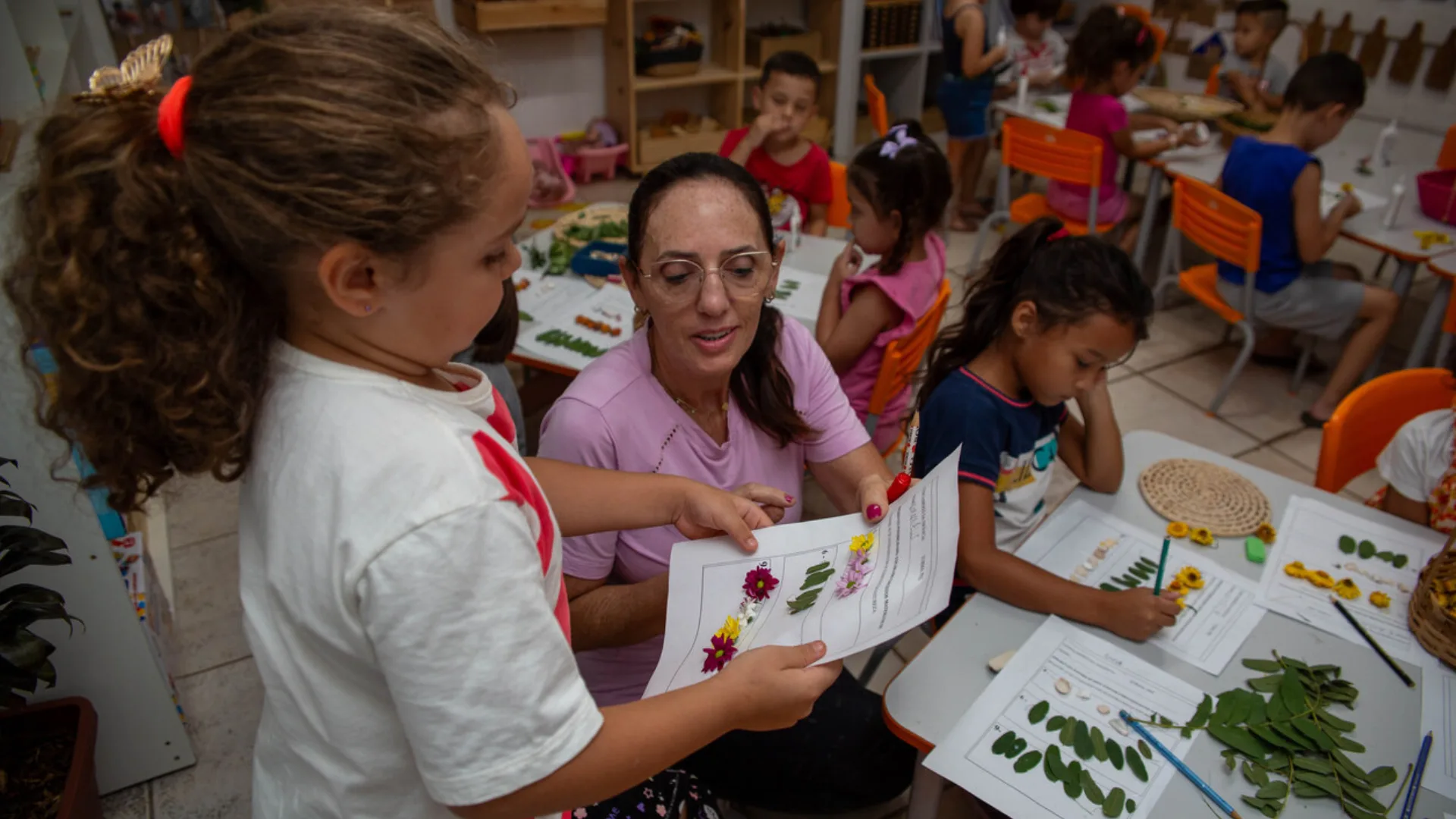 Chapecó lidera Saúde e Educação em ranking do TCE-SC