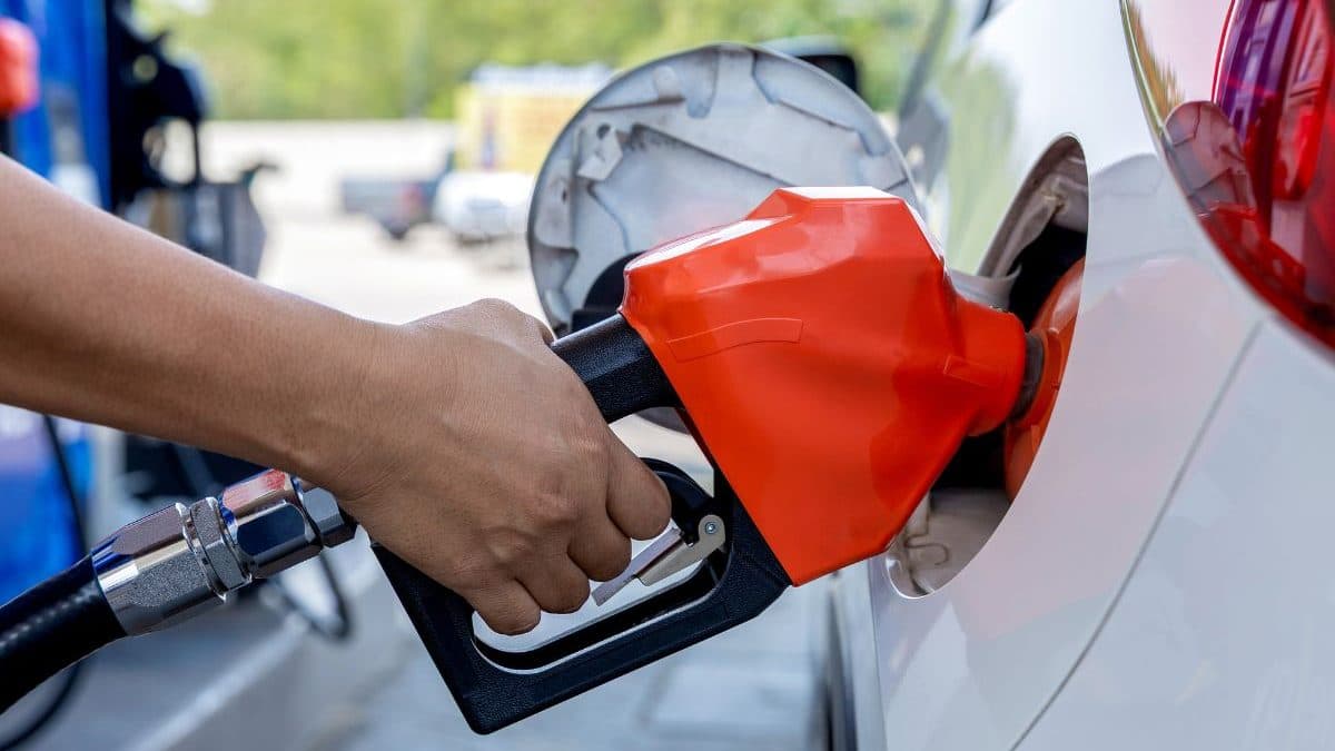 Diesel dispara e Procon investiga aumentos suspeitos em cidade de SC: ‘Sem justa causa?’
