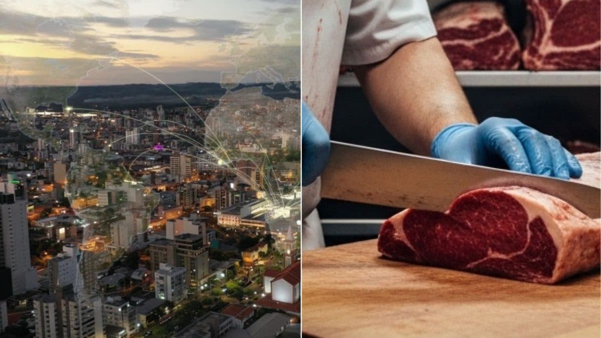Veja como cidade de SC se tornou gigante na produção de carnes que exporta para o mundo