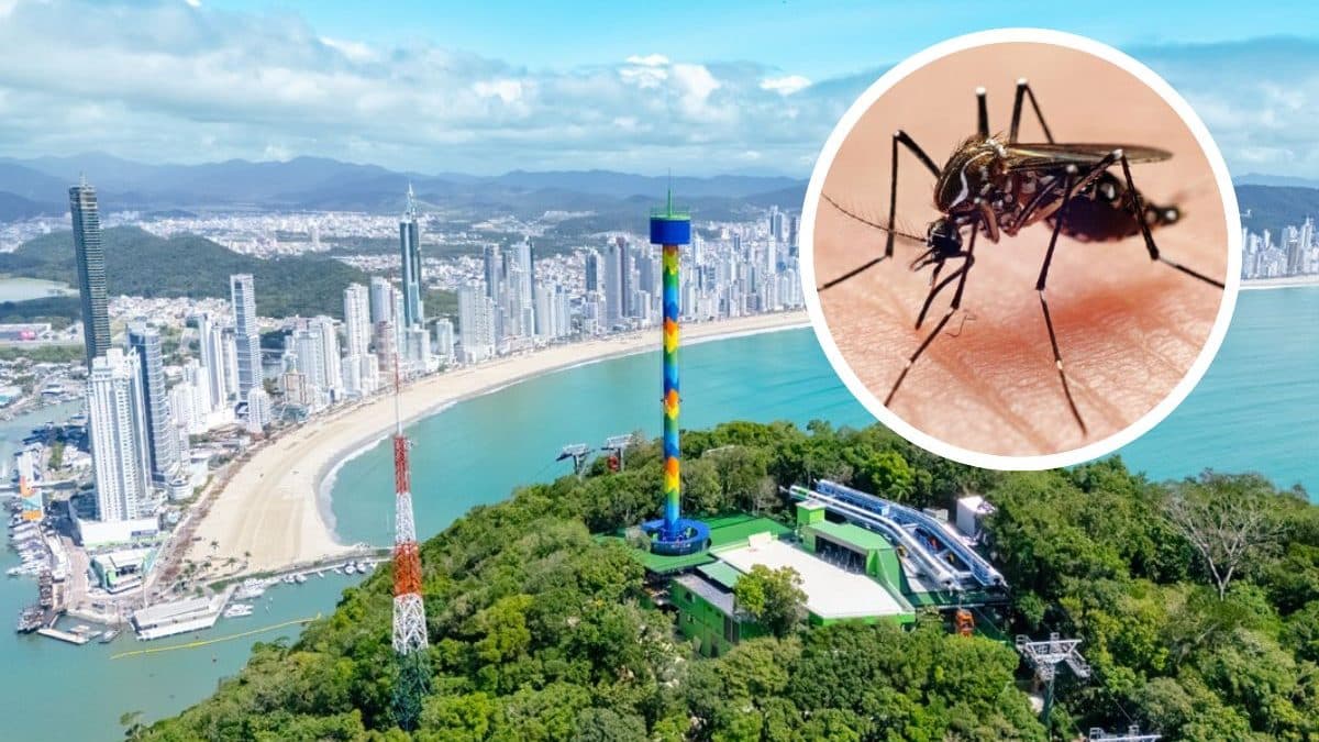 A estratégia que quase acabou com os casos de dengue em Balneário Camboriú