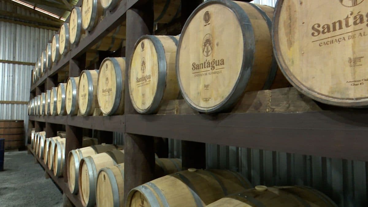 Cachaçaria de Jaraguá do Sul aposta em produção artesanal de alto padrão