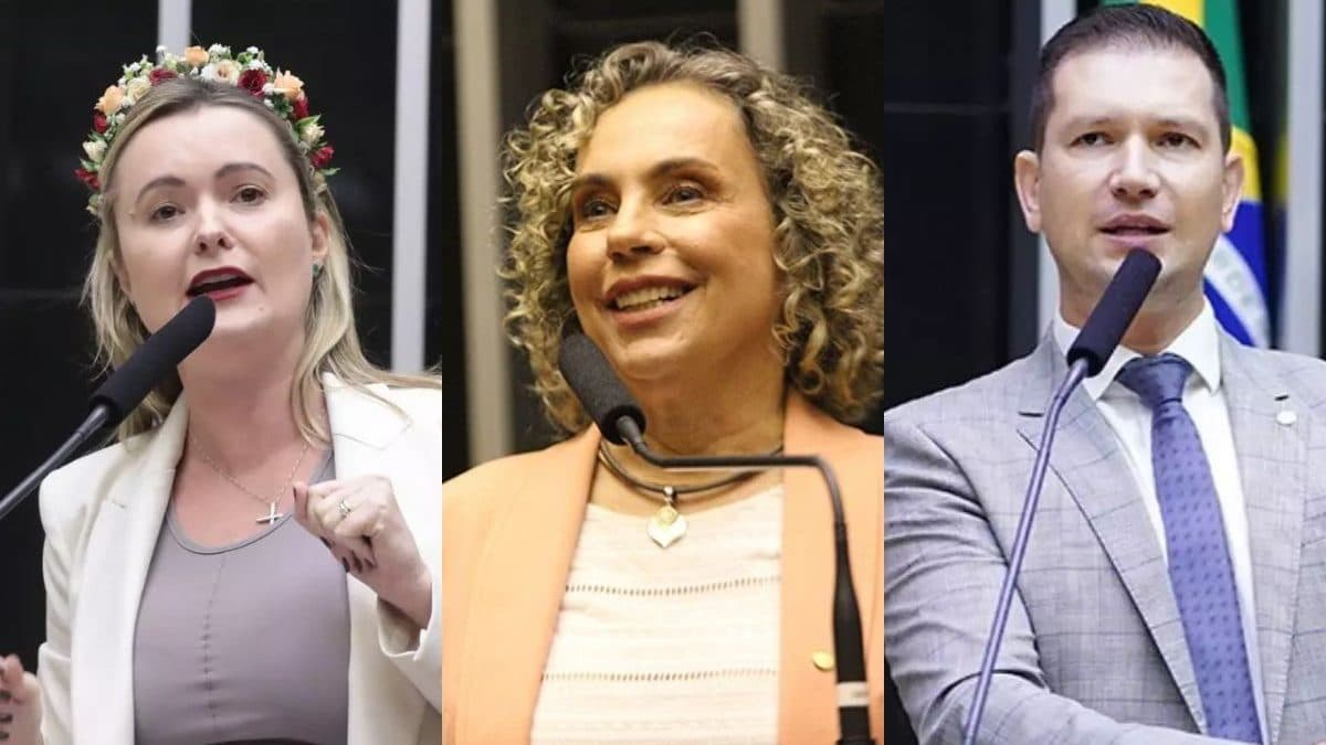Três dos dez deputados federais mais votados em Blumenau foram eleitos; veja quem vai para Brasília