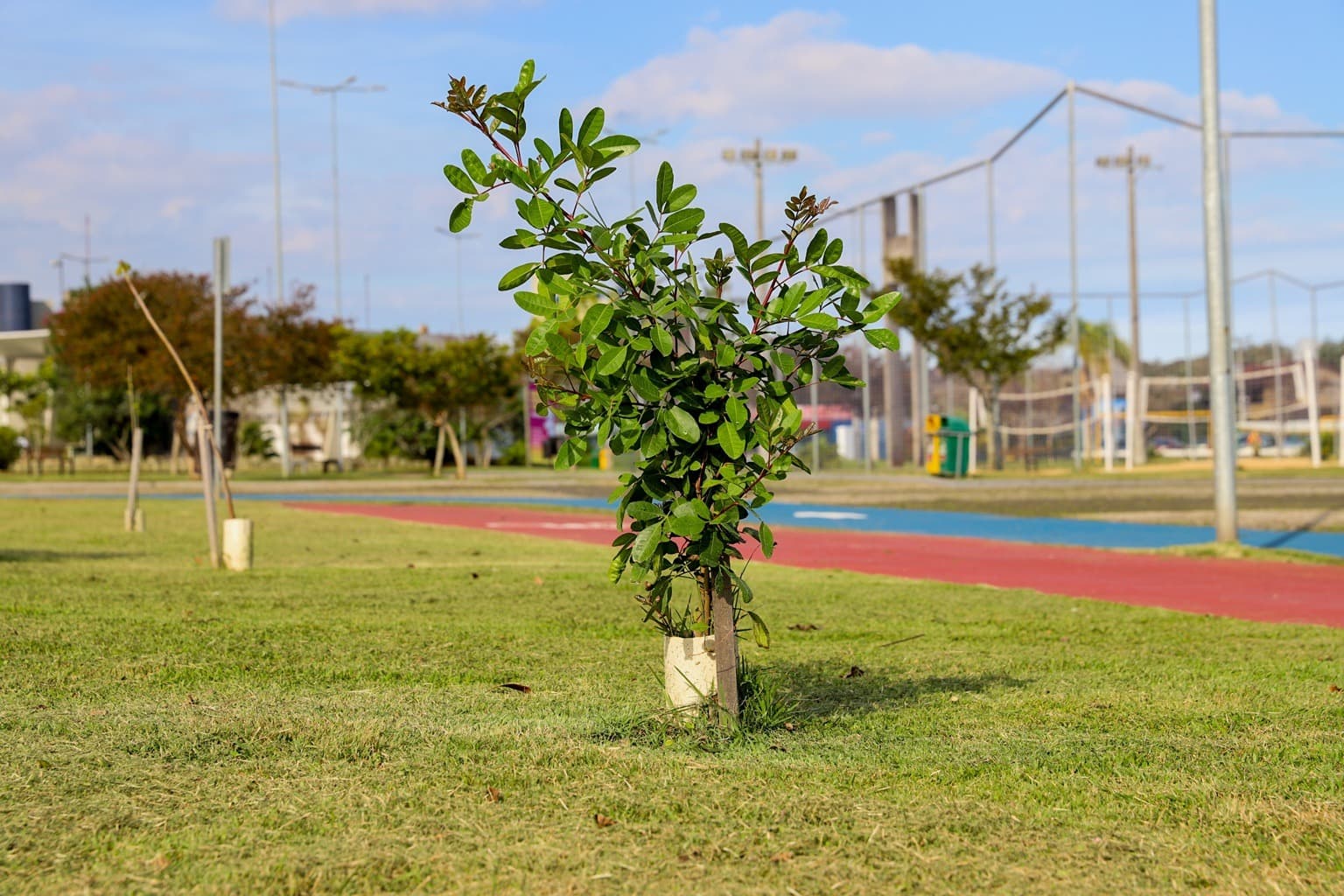 Criciúma terá programação especial na Semana Municipal do Meio Ambiente