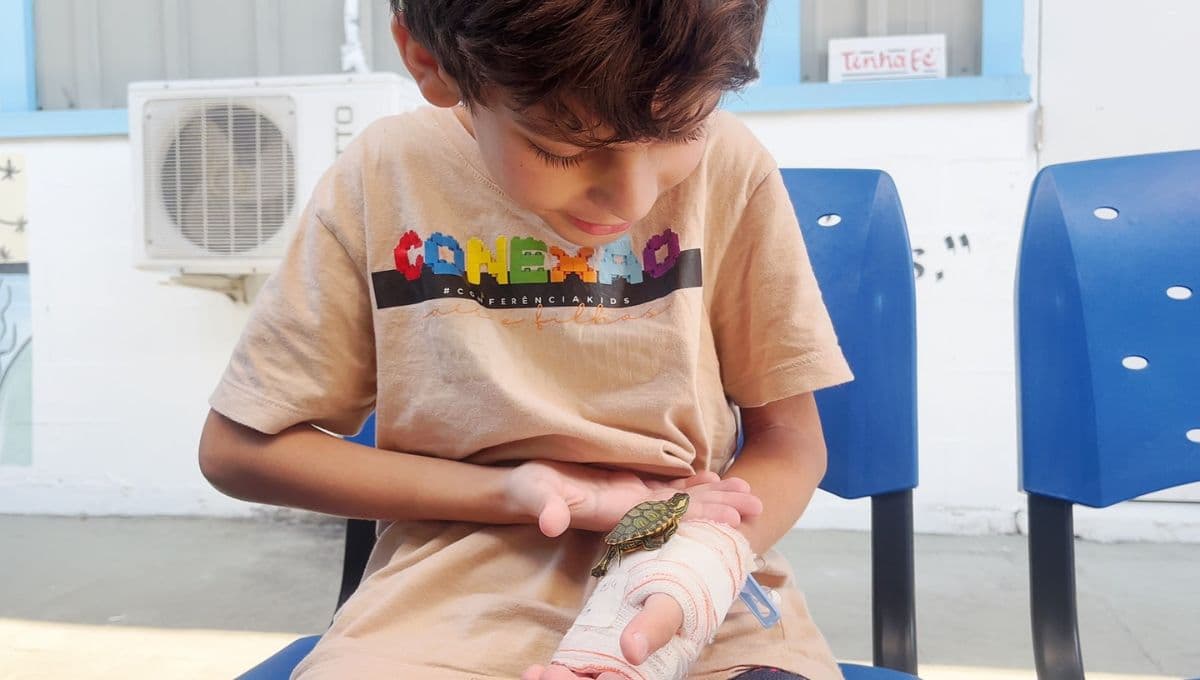 Criança internada há 26 dias reencontra pet em hospital de Balneário Camboriú - Visor Notícias