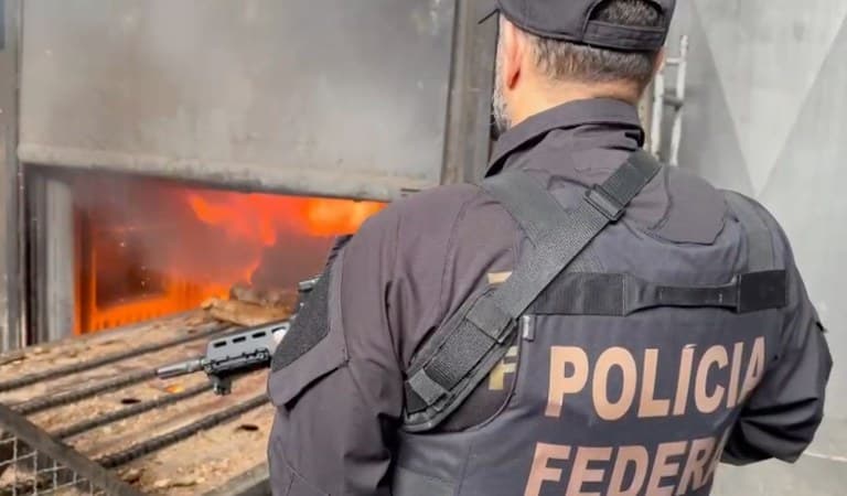 PF incinera mais de meia tonelada de drogas em Lages, SC