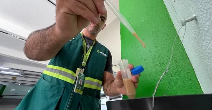 Jaraguá do Sul: Ações de combate reduzem presença do mosquito da dengue